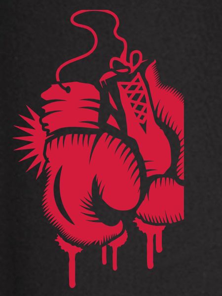 two boxing gloves