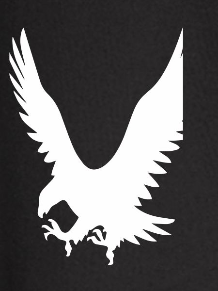 Eagles on attack