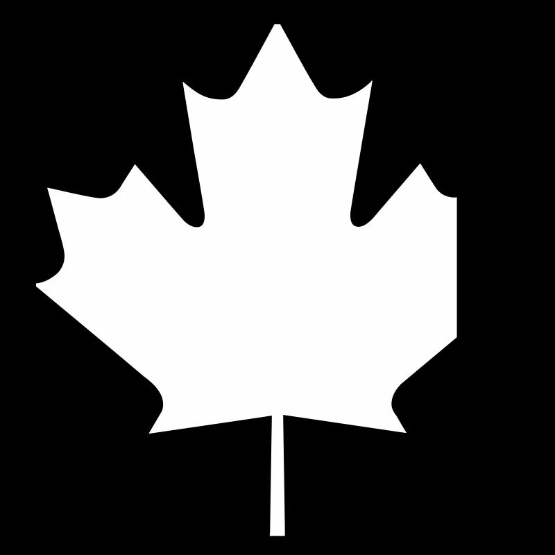 A maple leaf