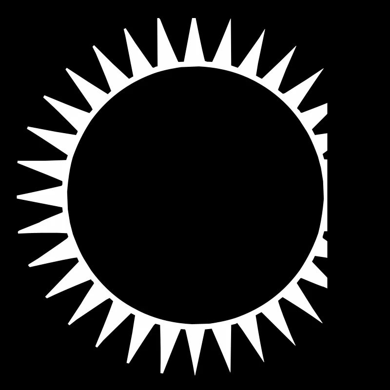 Die schwarze Sonne