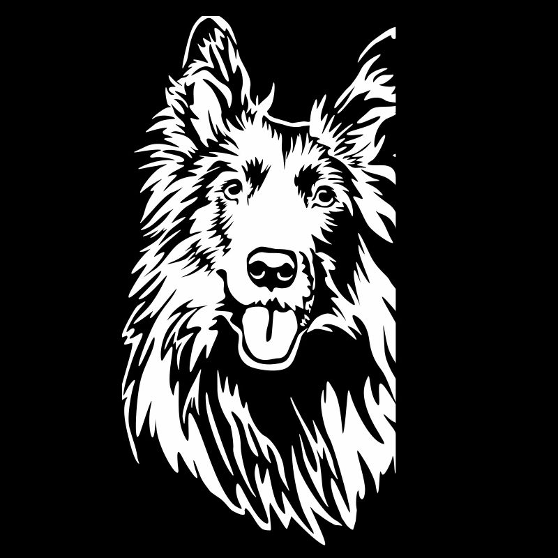 Groenendael head "Black Edition"