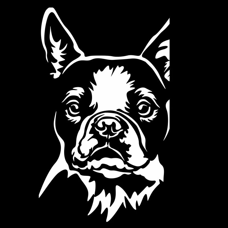 Boston Terrier Kopf "Black Edition"