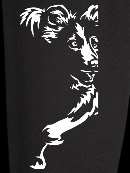Border Collie "Black Edition"