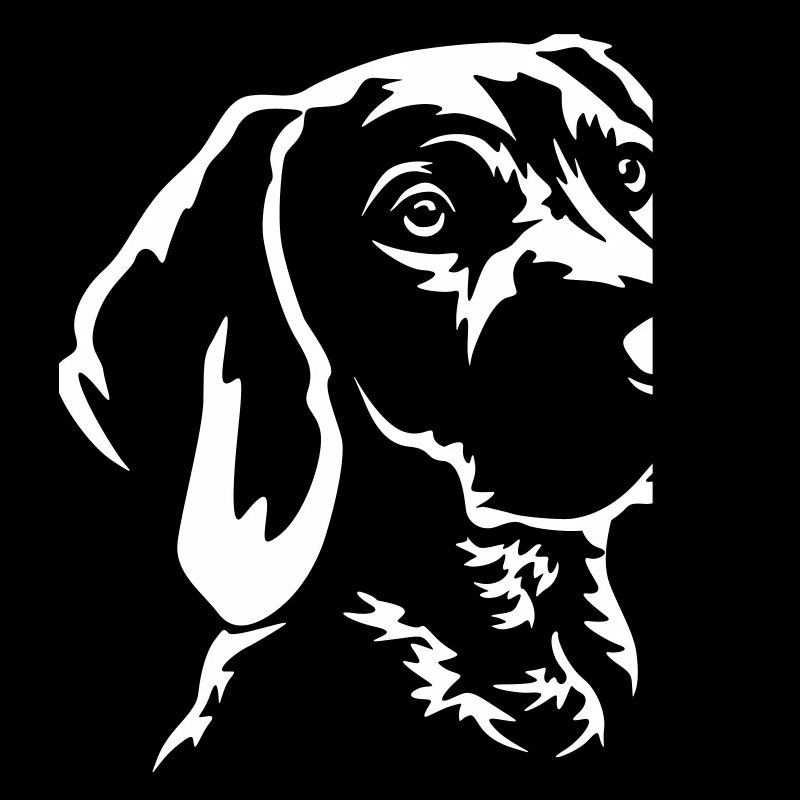 German Shorthair Head "Black Edition"