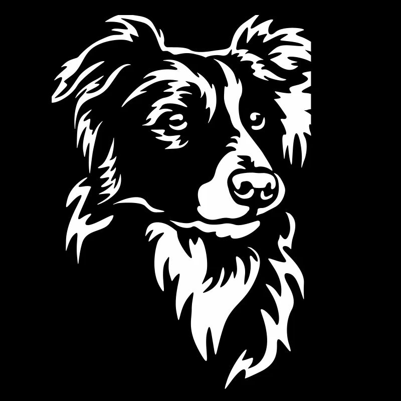 Border Collie Kopf "Black Edition"