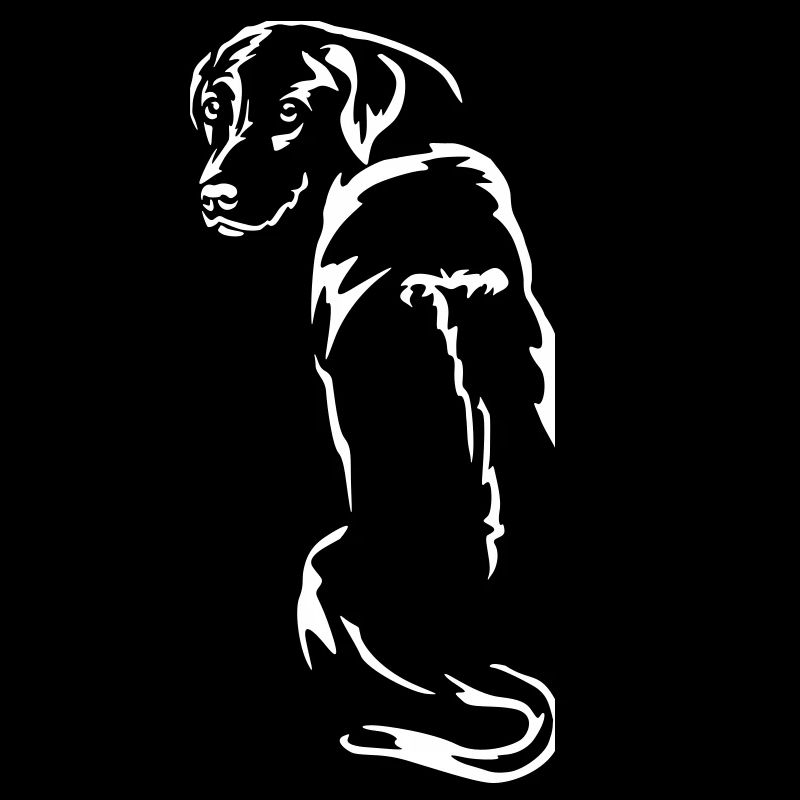 Rhodesian Ridgeback « Black Edition »