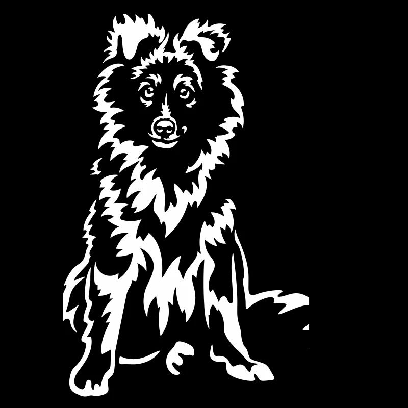 Sheltie « Édition Noire »