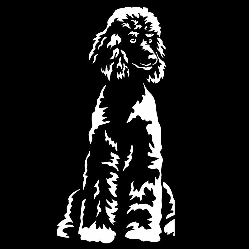 Caniche « Black Edition »