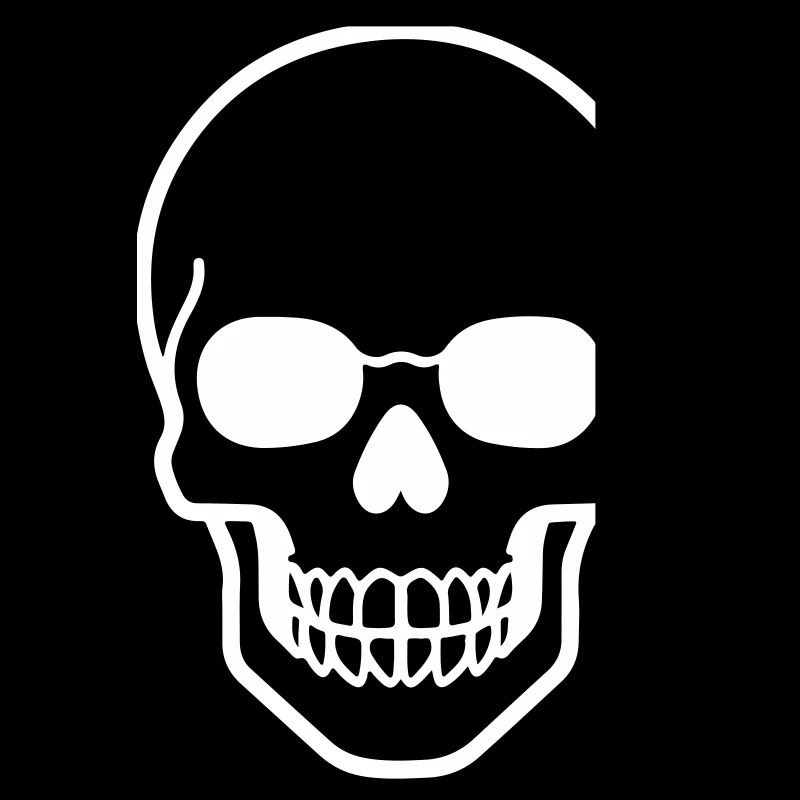 Minimalist skull design