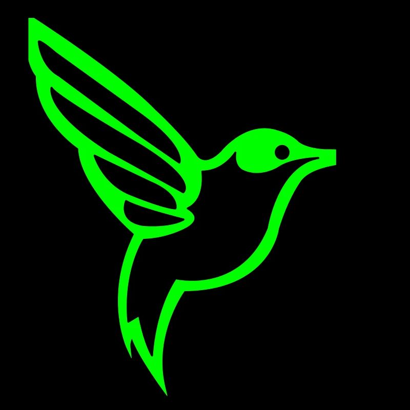 Hummingbird Bird