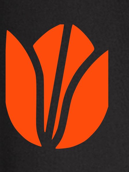 Tulip Blossom Abstract Flat