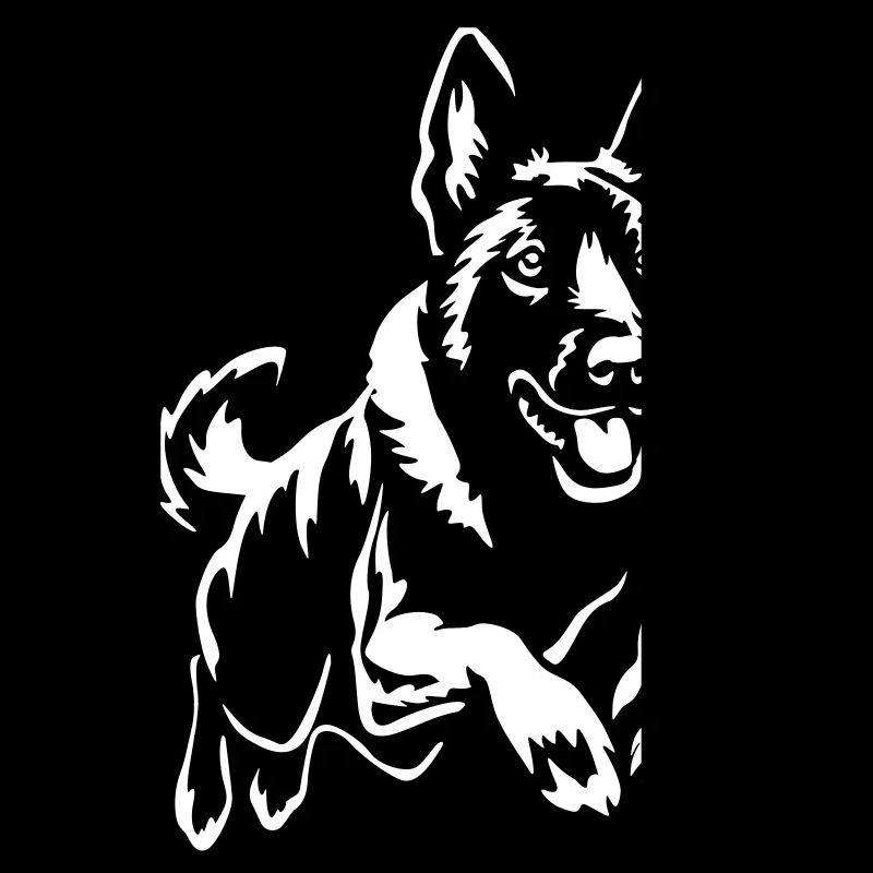 Hollandse Herder "Black Edition"