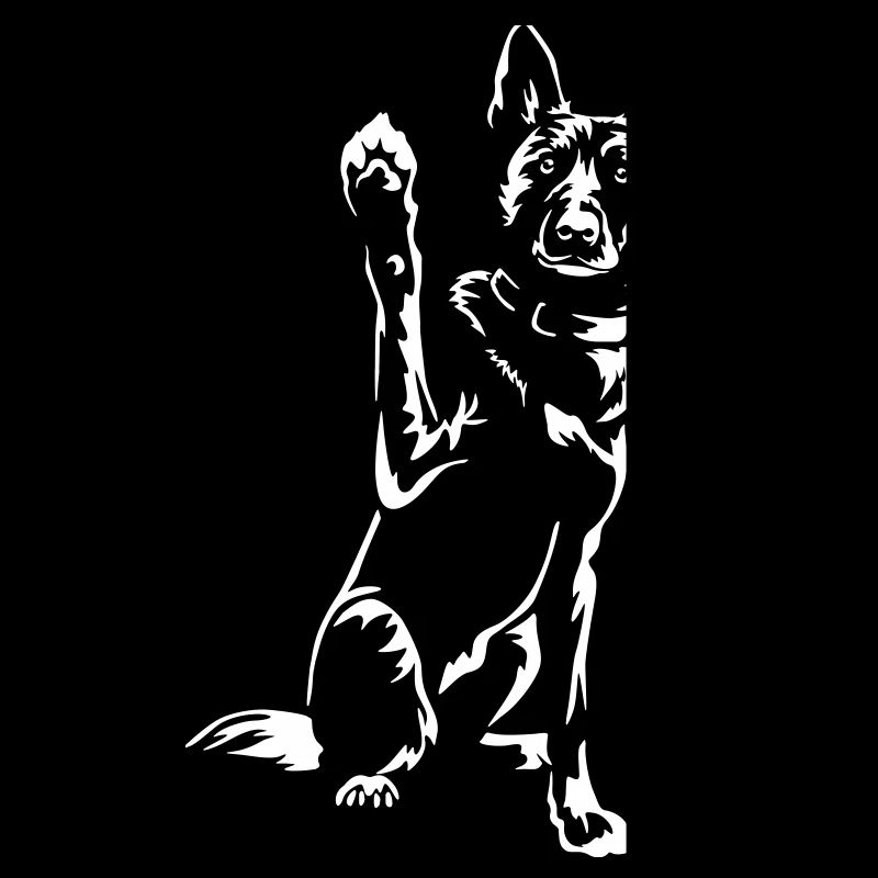 Hollandse Herder "Black Edition"