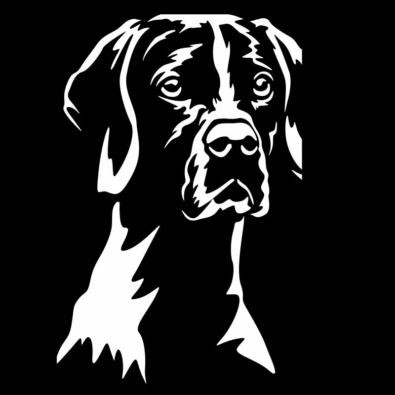 English Pointer "Black Edition"