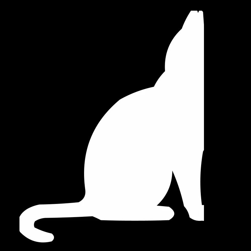 Silhouette de chat nocturne au clair de lune