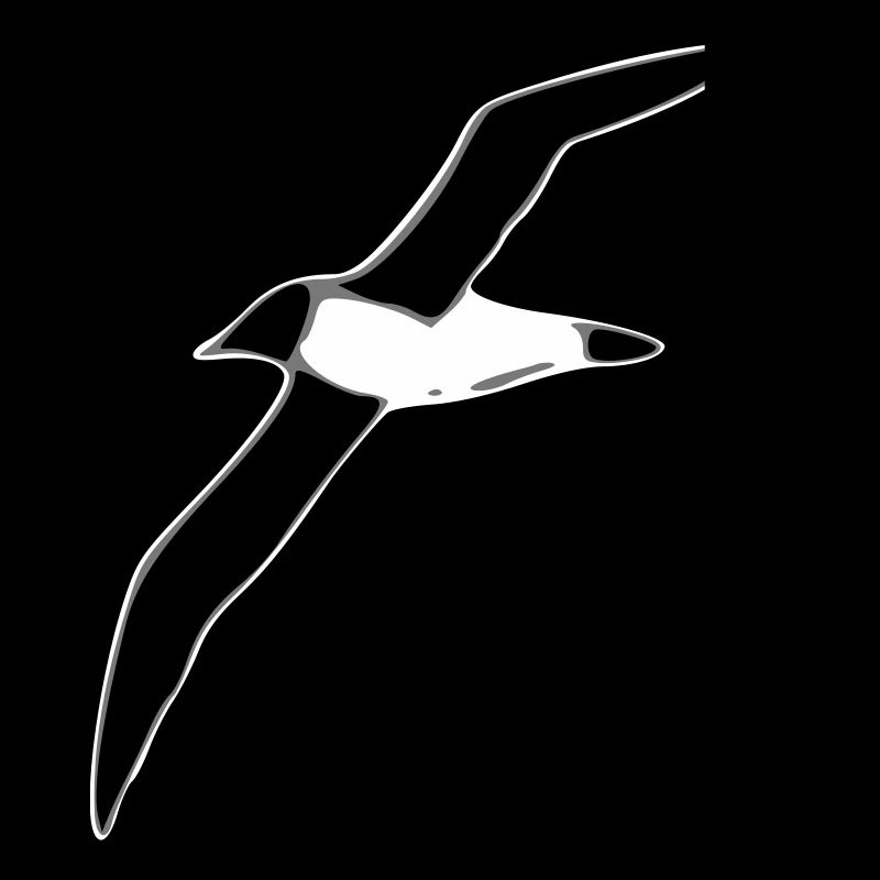 Albatros im Flug Graustufen Design