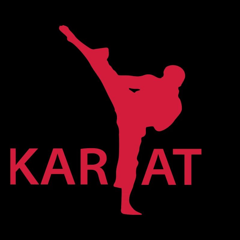  Karate Kick Silhouette