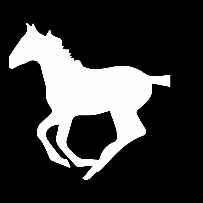pferd