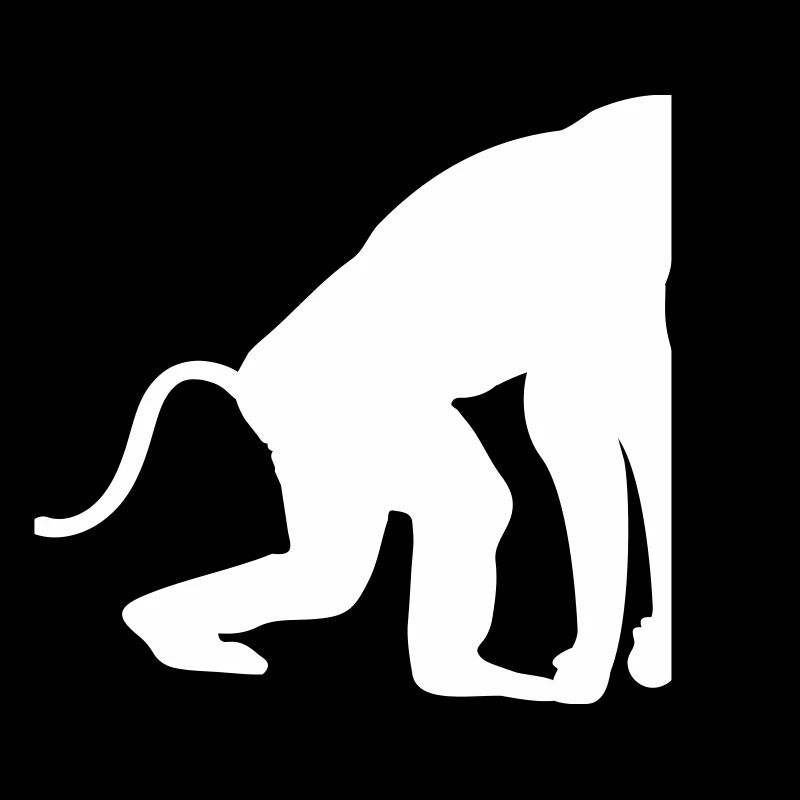 Silhouette de singe
