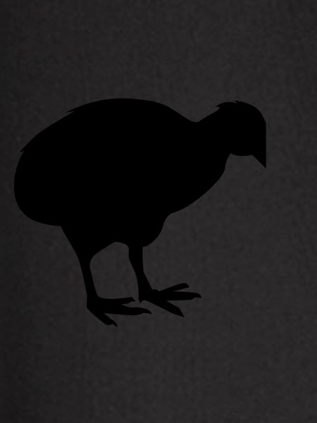 kiwibird