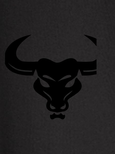 Stier