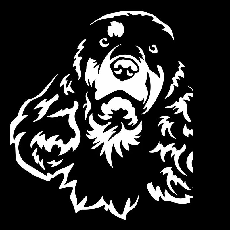 Cocker Spaniel Kopf "Black Edition"