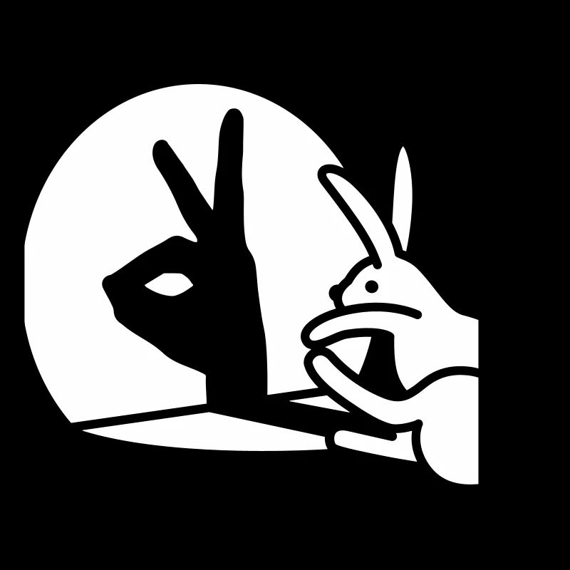 Funny Rabbit Hand Shadow Projection Rabbit