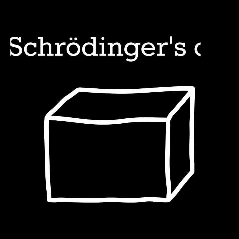 Schrödinger's Cat – Quantum Physics Cult Motif