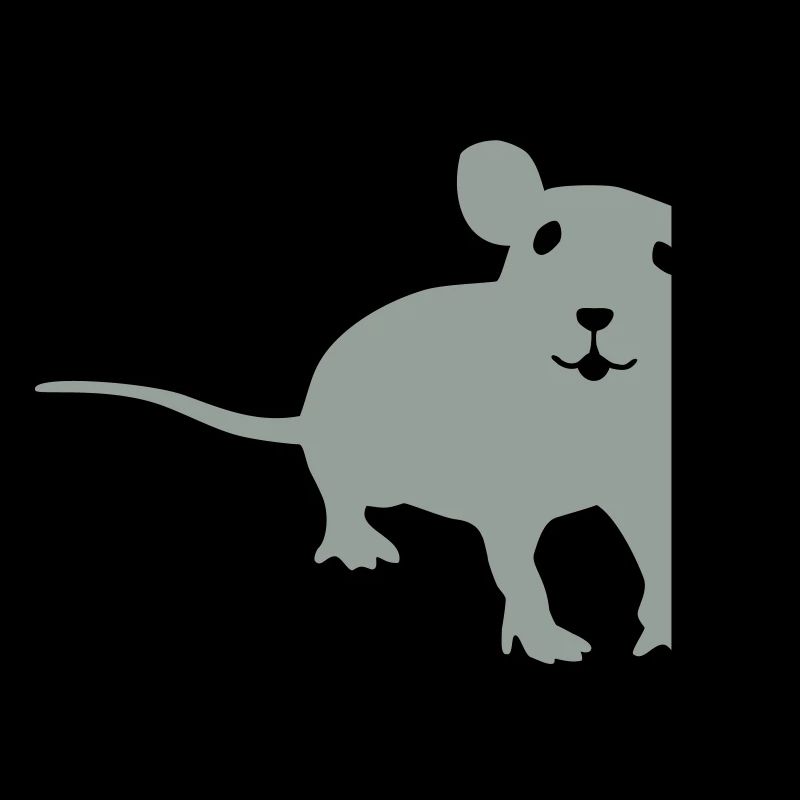 Rat