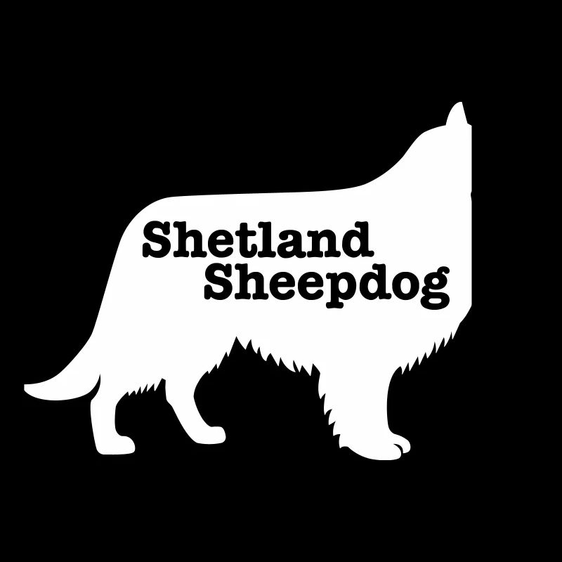 Shetland Sheepdog