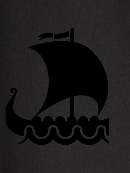 vikings viking