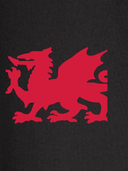 Welsh Dragon