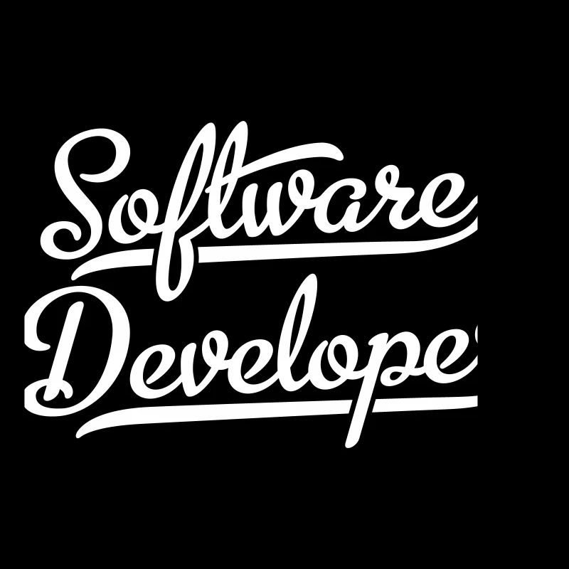 Software Developer