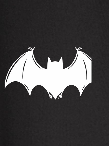 Bat