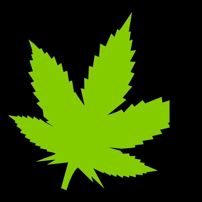 Motif de feuilles de cannabis vertes