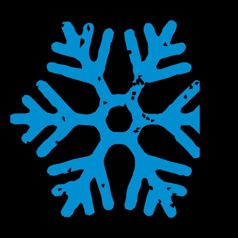 flocon de neige