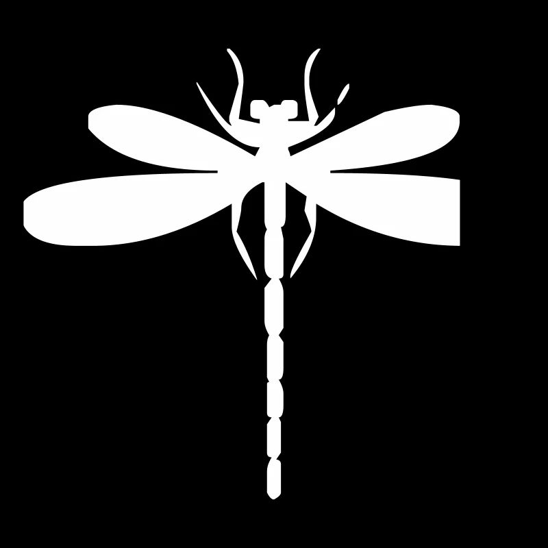 Insecte libellule