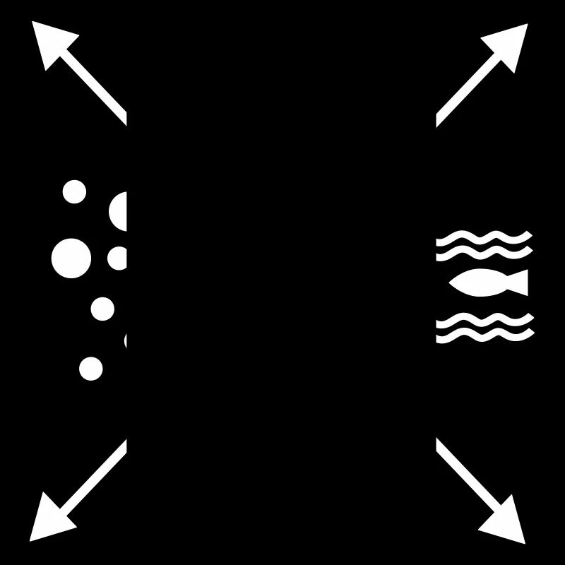 dive