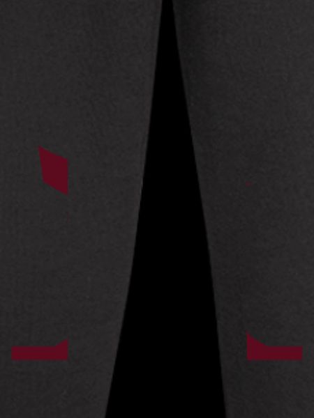 Japan Gate Silhouette