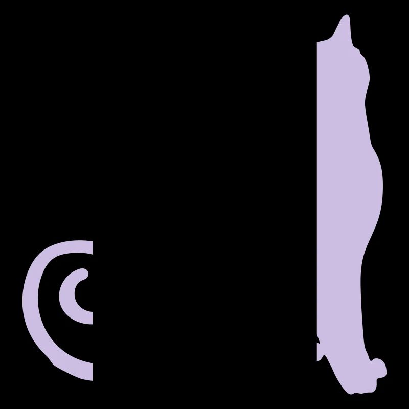 Cat Silhouette