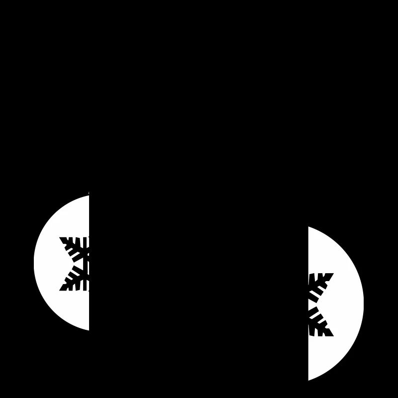 Boule de Noël étoile 2