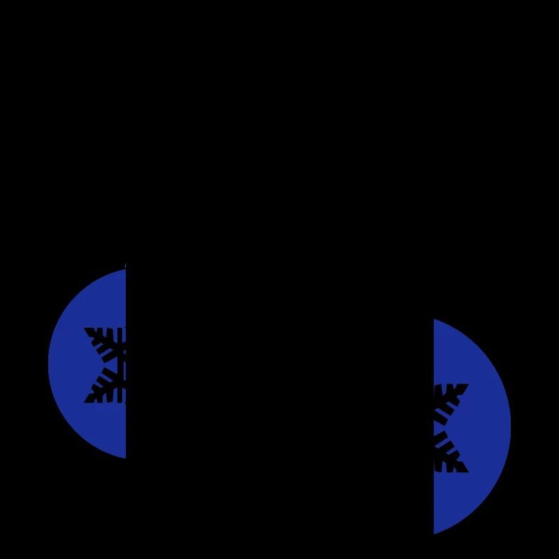 Boules de Noël star