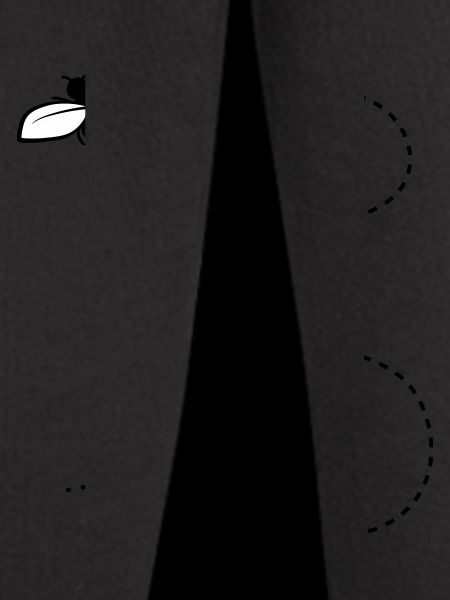Dashed Line Fly