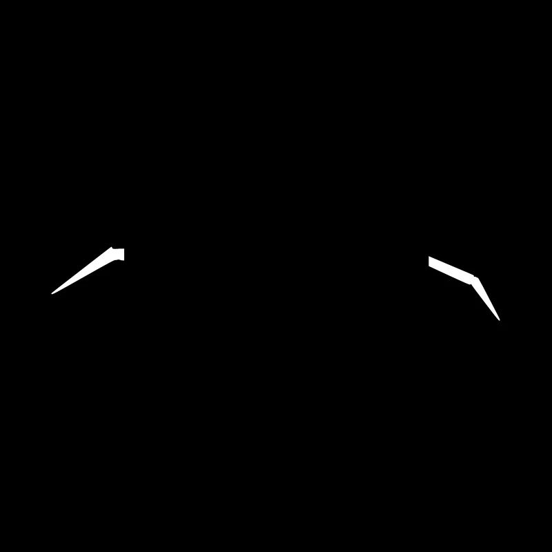Spinne - Tier - Spider