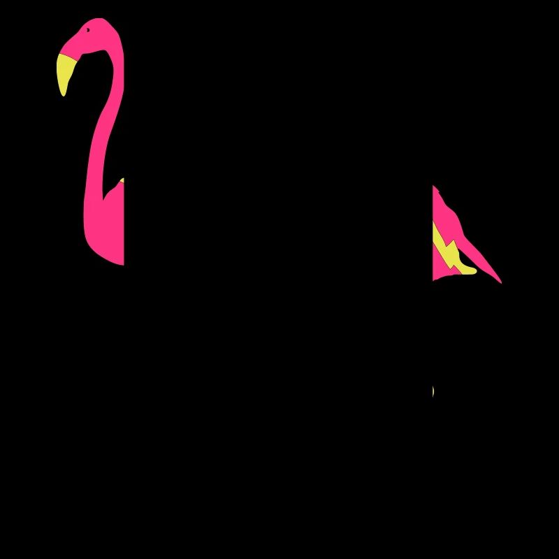 flamingos 2