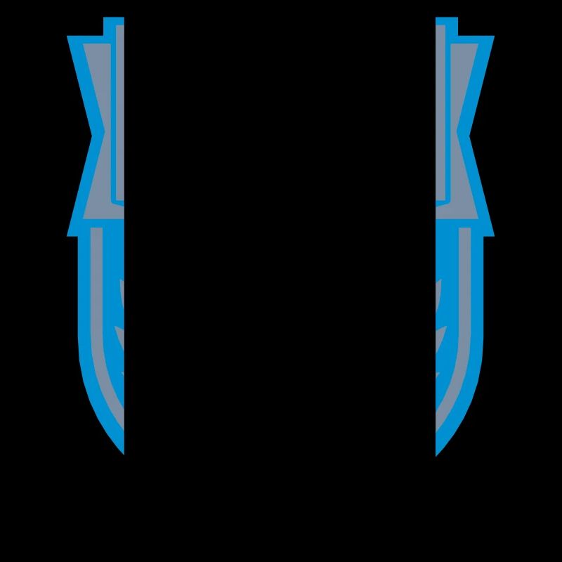 Bannière Big Bro Logo