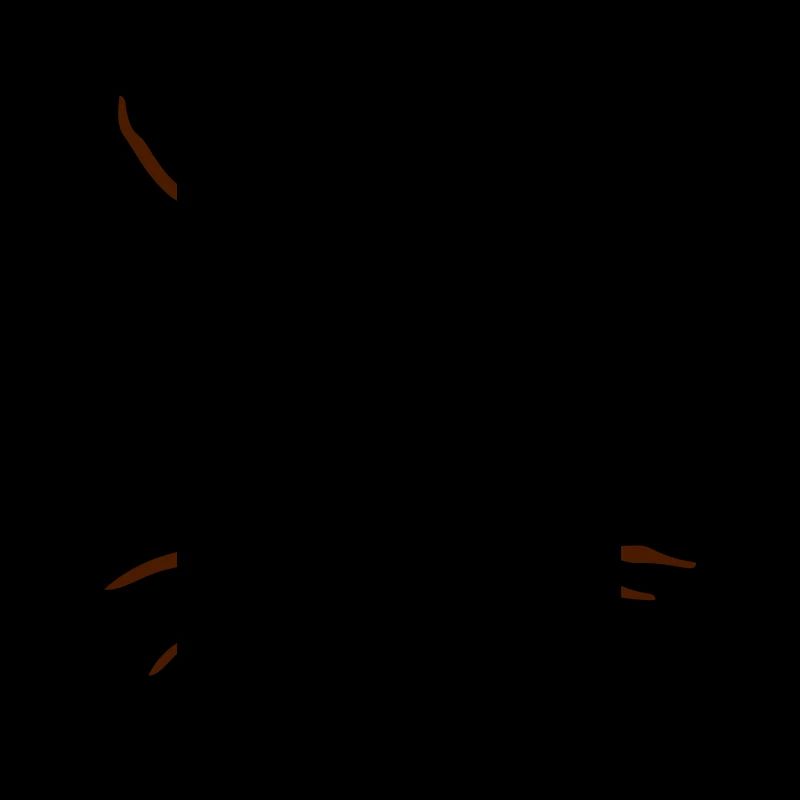 Tree root design