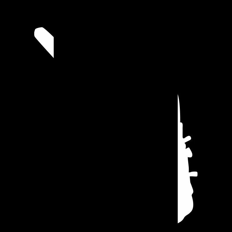 Cricket Batsman Batter