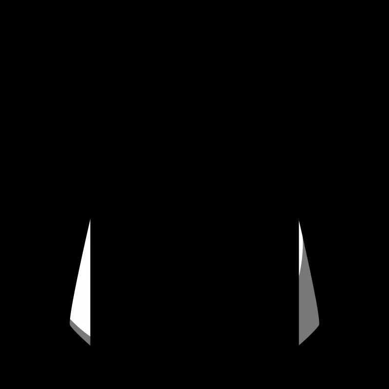 Salt dispenser design