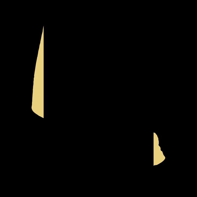 42 - Number - VECTOR